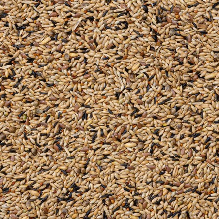 80- MIXTURA CANARIOS CRIA SIN NABINA 20KG  Beyers