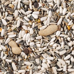 60- MIXTURA LOROS 15KG  Beyers