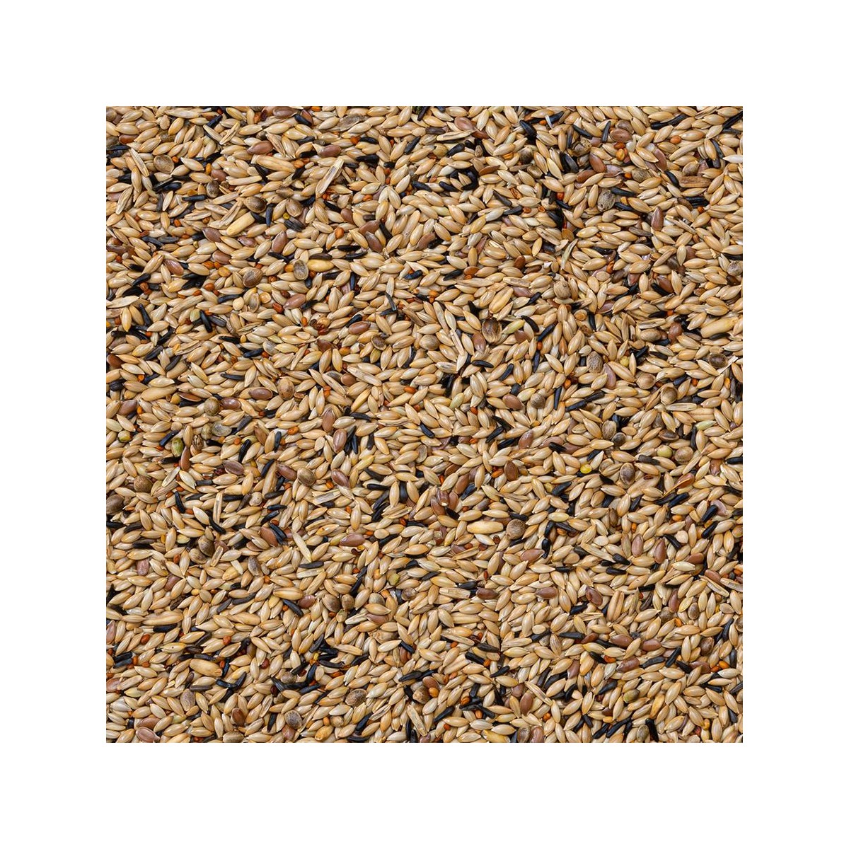 72-MIXTURA AGAPORNIS CHAMPION 20KG  Beyers