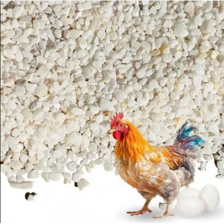 CAL GALLINAS 1KG 