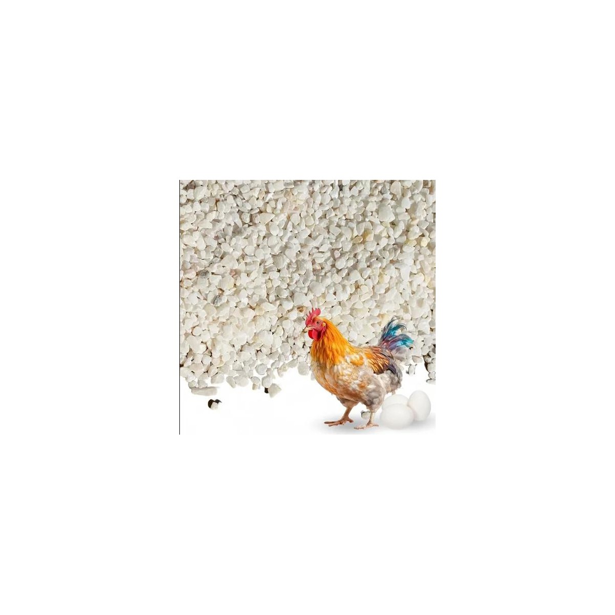 CAL GALLINAS 1KG 