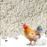 CAL GALLINAS 1KG 