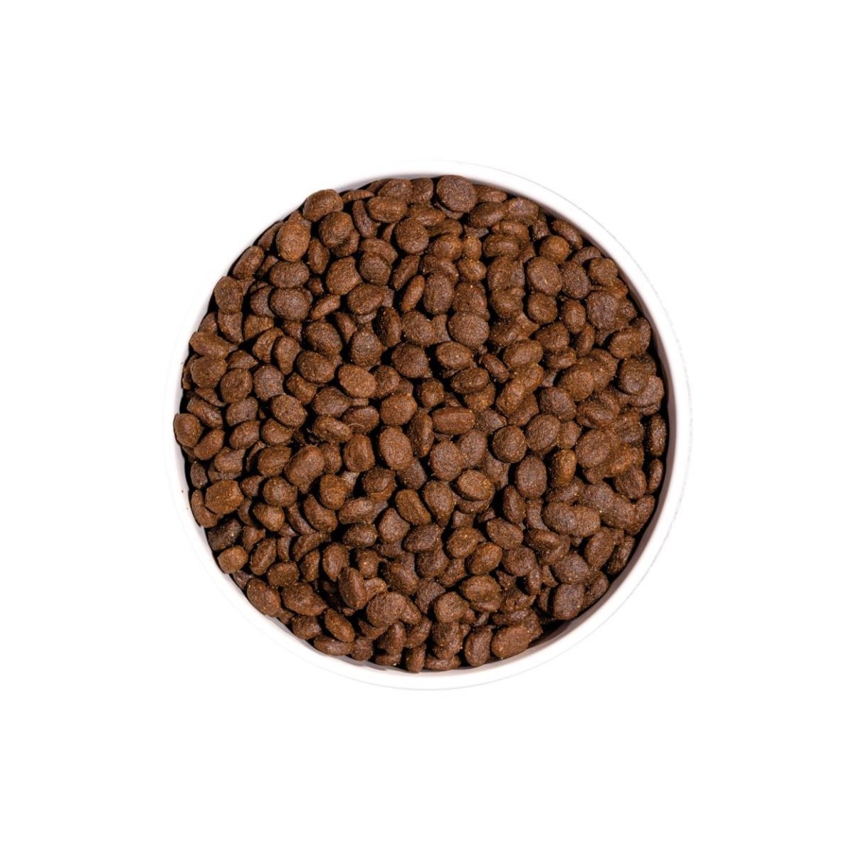 PRIME CAT ADULT CHICKEN&TURKEY GF 1KG