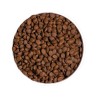 PRIME CAT ADULT CHICKEN&TURKEY GF 1KG
