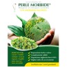 PERLA MORBIDA VERDE  9KG 