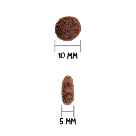 CLASSIC DOG MINI ADULT 4KG