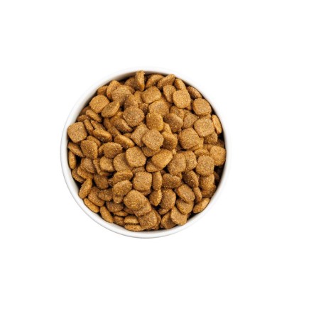 CLASSIC DOG MONOP  LAMB 4KG