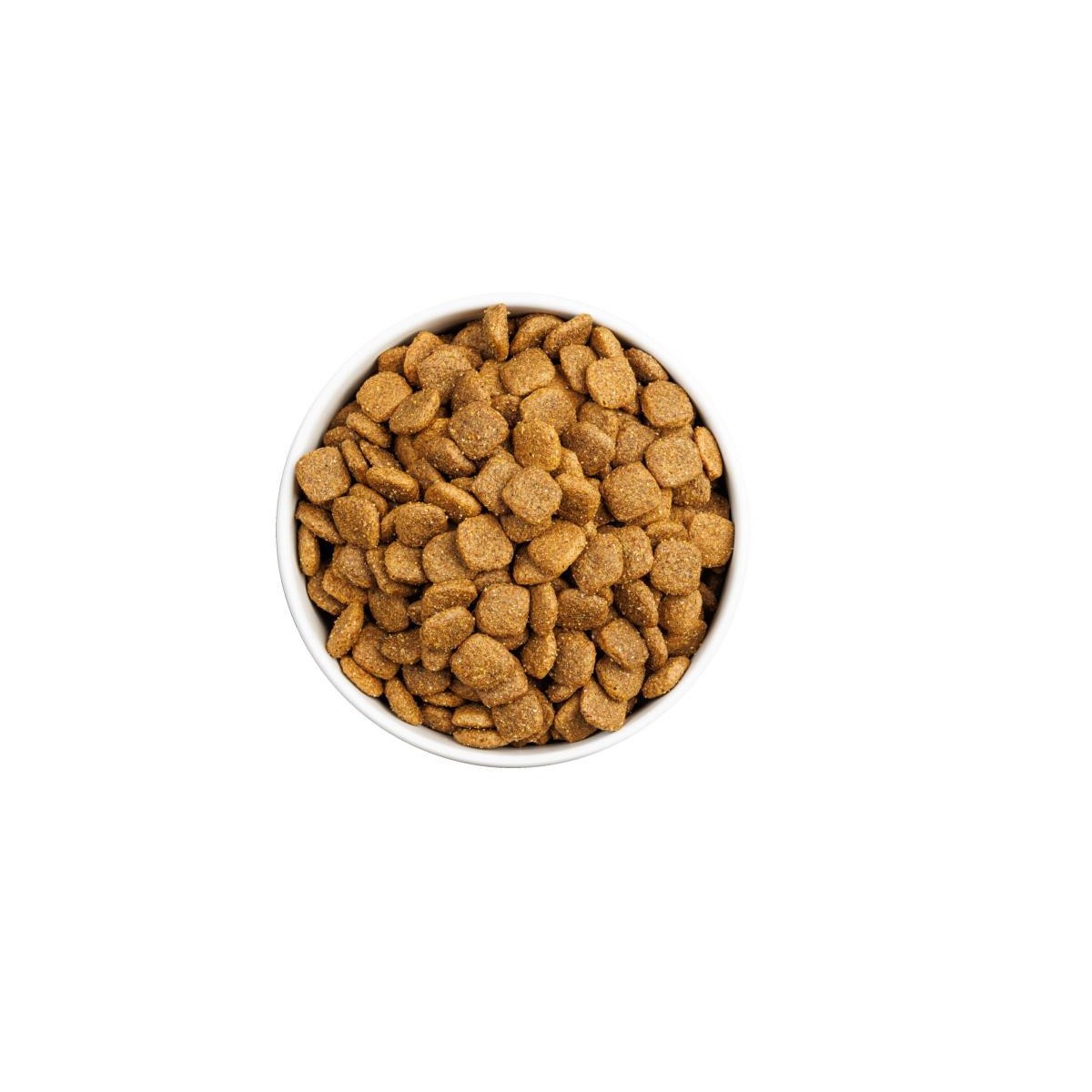 CLASSIC DOG MONOP  LAMB 4KG