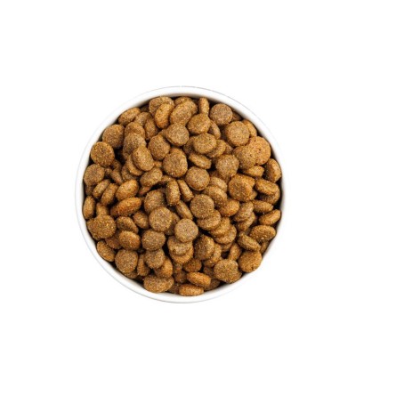 CLASSIC DOG MONOP  SALMON 12KG