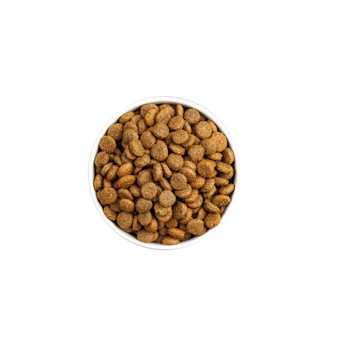 CLASSIC DOG MONOP  SALMON 12KG