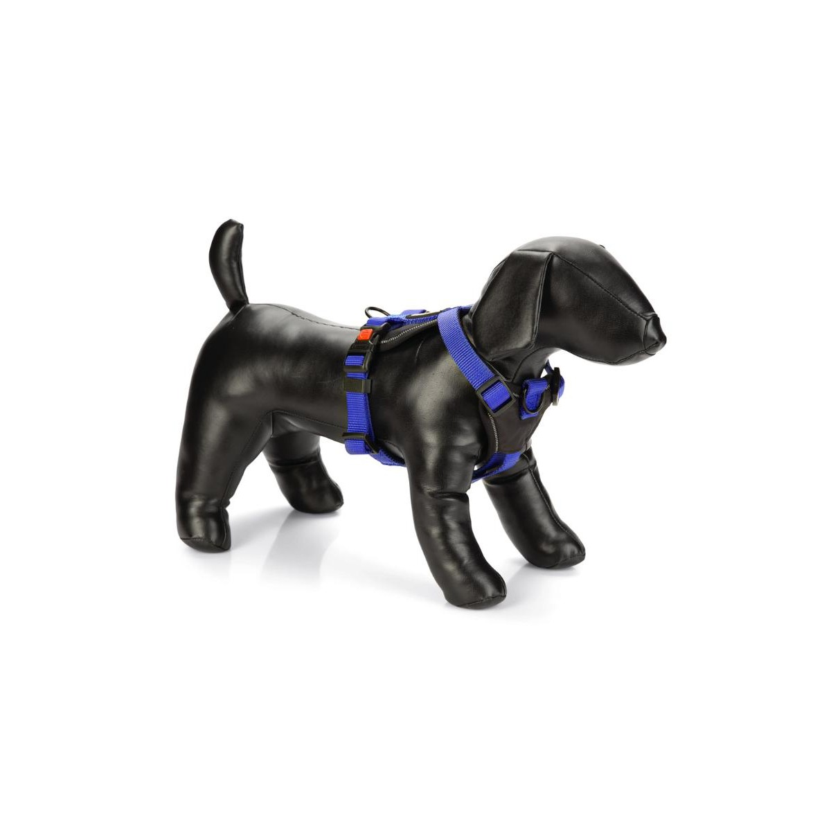 ARNES SPORTIV PARINCA 59-67X25